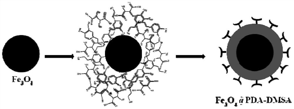 Bifunctional magnetic nanoparticles as well as preparation method and application thereof