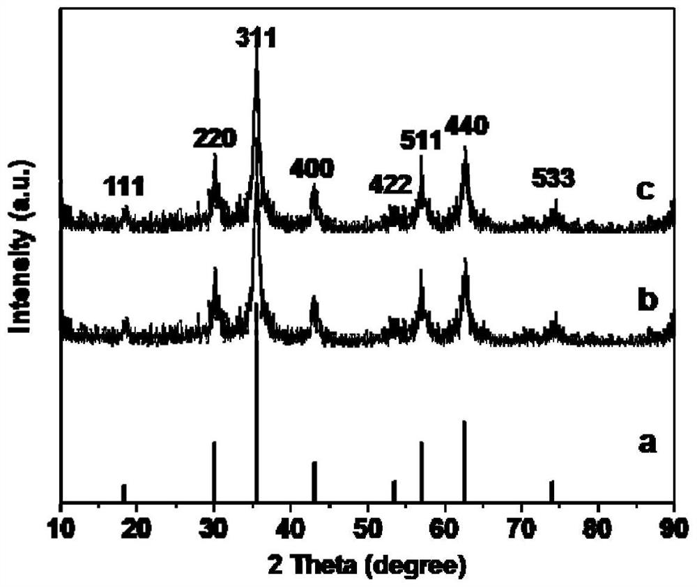 Bifunctional magnetic nanoparticles as well as preparation method and application thereof