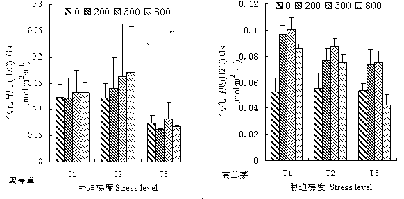 Method for increasing photosynthetic capacity of drought mixed matrix lawn plants by adopting rare-earth cerium