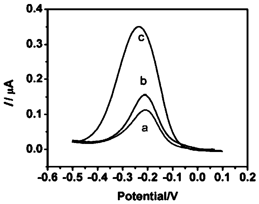 Electrochemical sensor based on short-distance hybridization of split aptamer as well as preparation method and application of electrochemical sensor