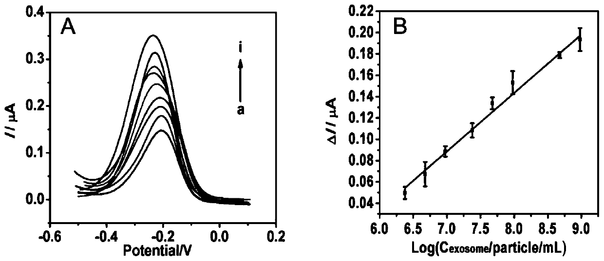 Electrochemical sensor based on short-distance hybridization of split aptamer as well as preparation method and application of electrochemical sensor