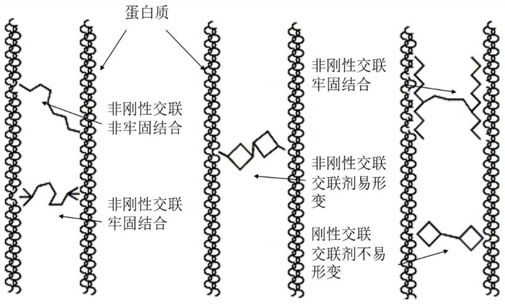 Vegetable tannin antibacterial agent with body structure as well as preparation method and application thereof