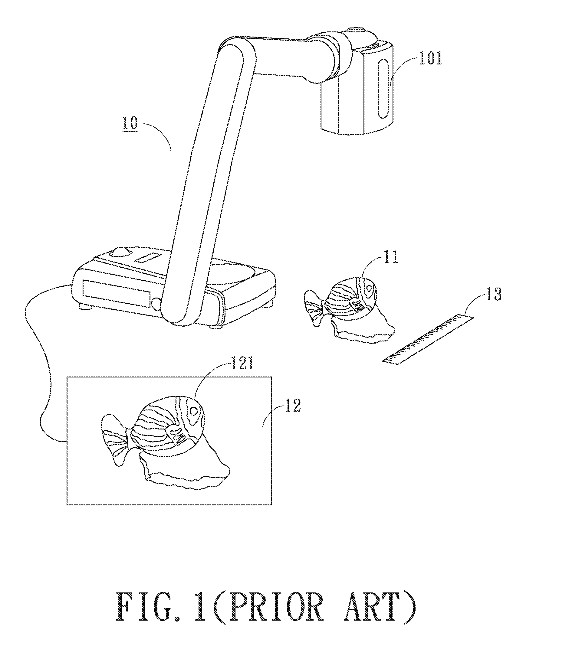 Document camera with size-estimating function and size estimation method