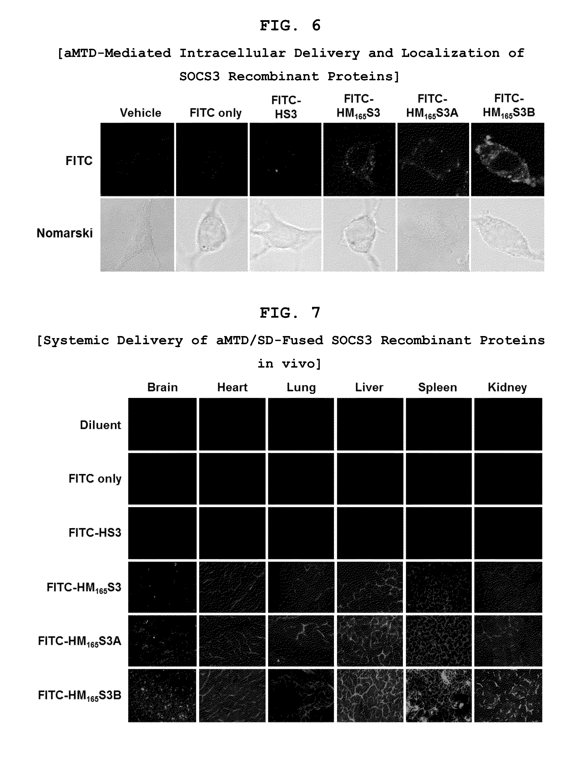 Development of Protein-Based Biotherapeutics That Penetrates Cell-Membrane and Induces Anti-Hepatocellular Carcinoma Effect - Improved Cell-Permeable Suppressor of Cytokine Signaling (iCP-SOCS3) Proteins, Polynucleotides Encoding the Same, and Anti-Hepatocellular Carcinoma Compositions Comprising the Same