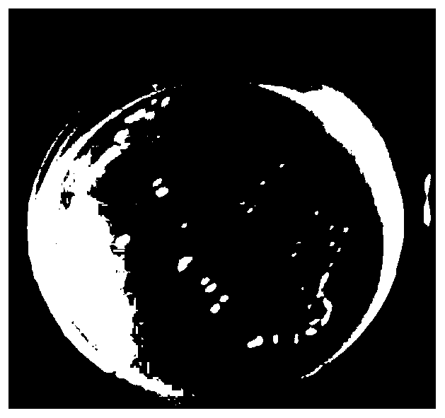 Preparation method of shell powder loaded antibacterial material