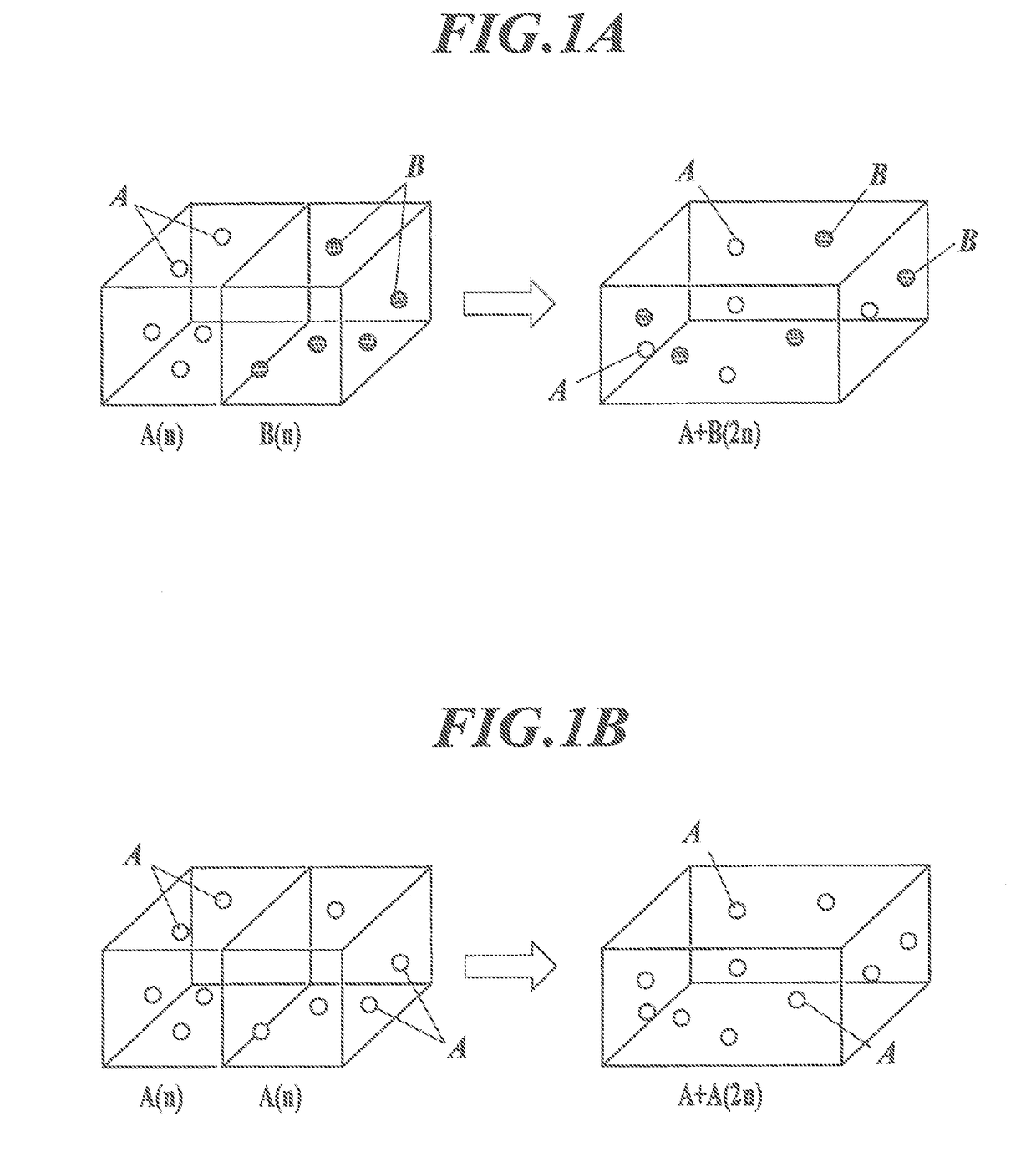 Charge-transporting thin film