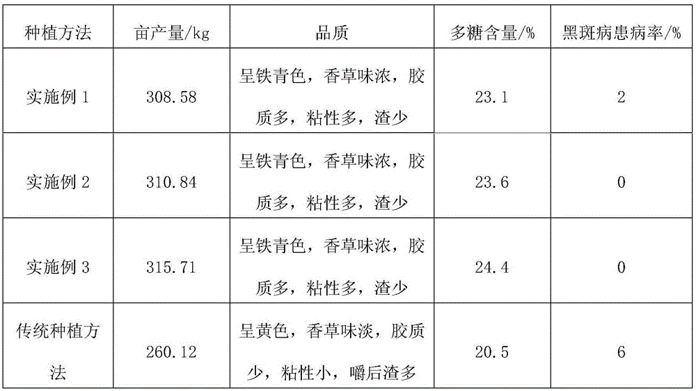 Method for planting dendrobium officinales on tree