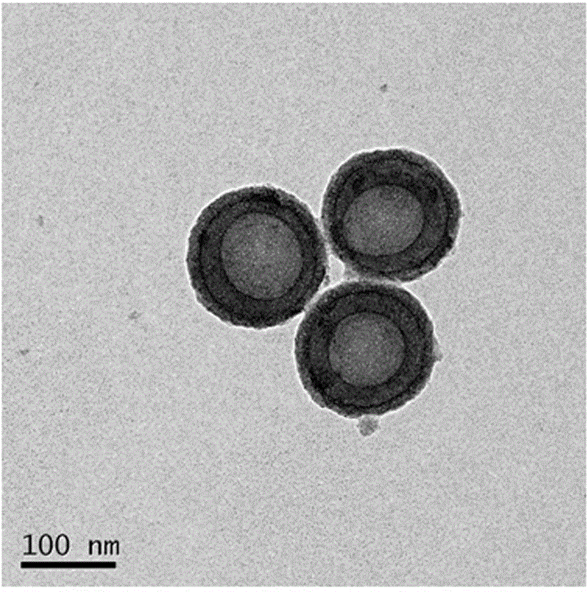 Preparation method of microorganism-nano particle composite system used for degrading phenol