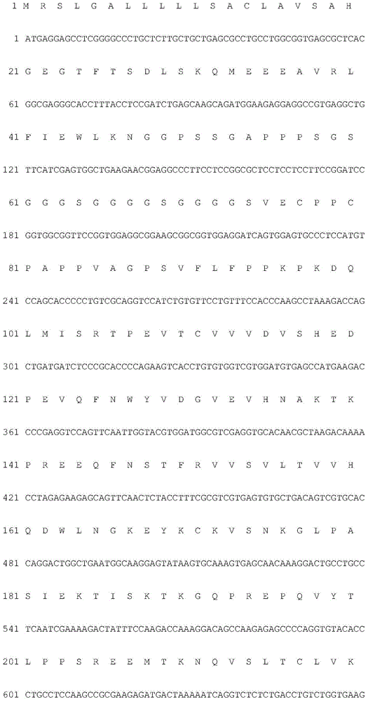 Exendin-4 analogue fusion protein and preparation method and application thereof