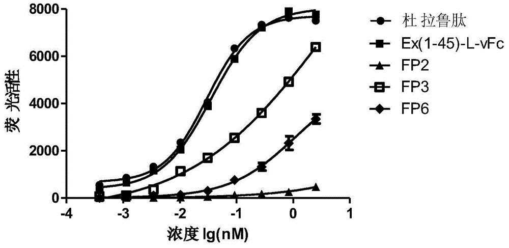 Exendin-4 analogue fusion protein and preparation method and application thereof