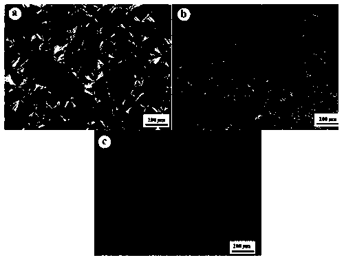 A kind of preparation method of degradable polybutylene adipate/potassium bromide composite material