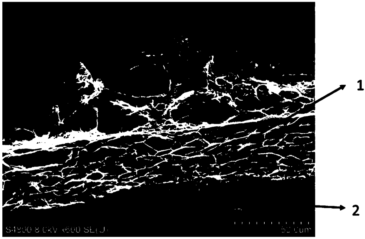 A kind of flexible supercapacitor electrode and preparation method thereof