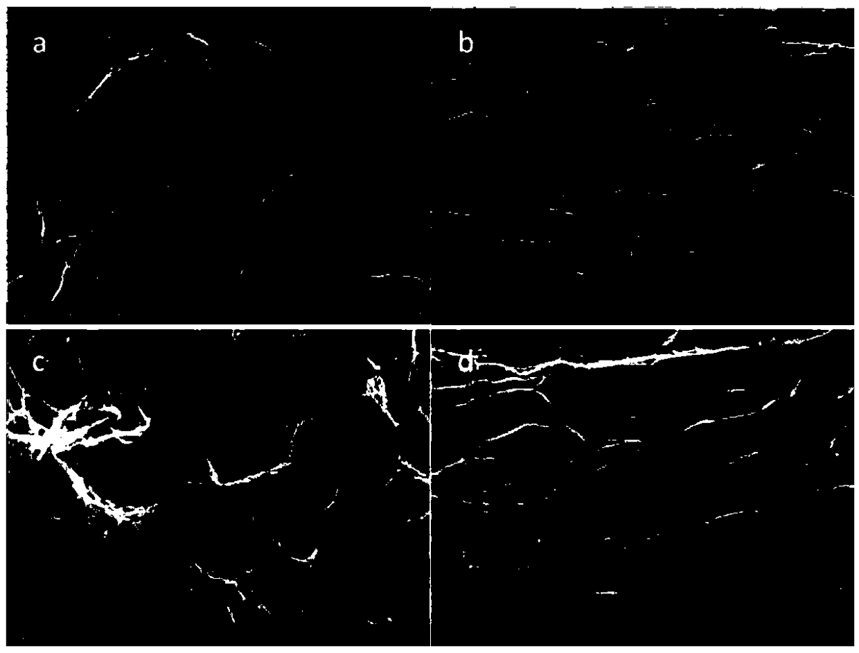 A kind of flexible supercapacitor electrode and preparation method thereof