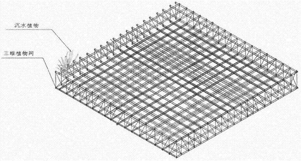 Method for restoring submerged plant communities by utilizing three-dimensional plant net