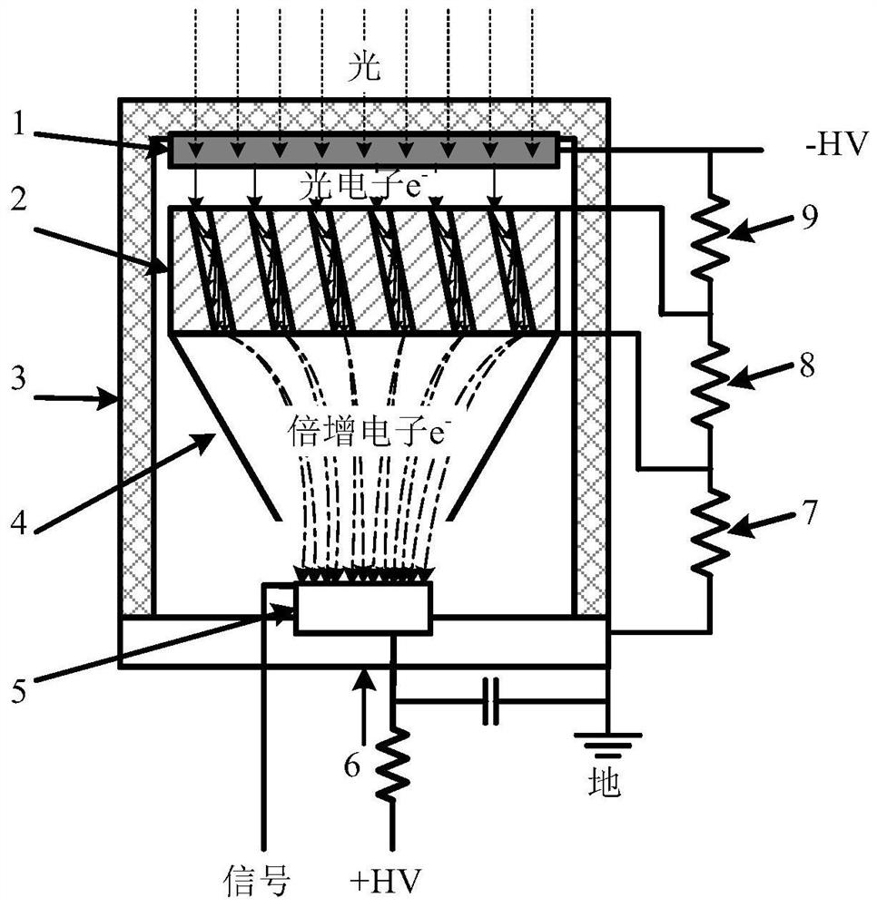 A High Gain Hybrid Photomultiplier Tube Based on Microchannel Plate