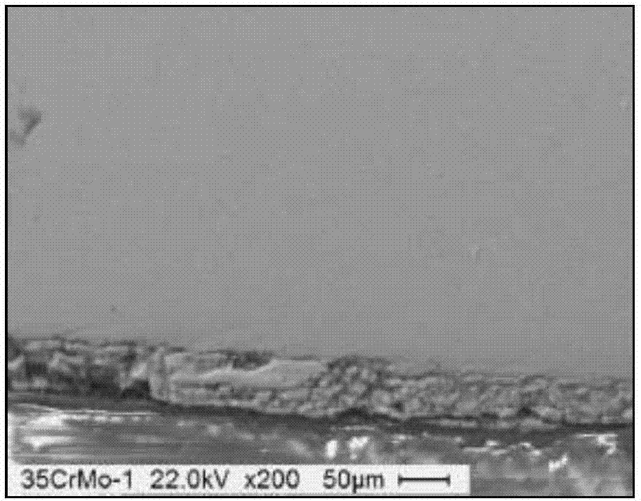 Control method for atmosphere corrosion resistance surface oxide scale of low-alloy cold forging steel wire rod