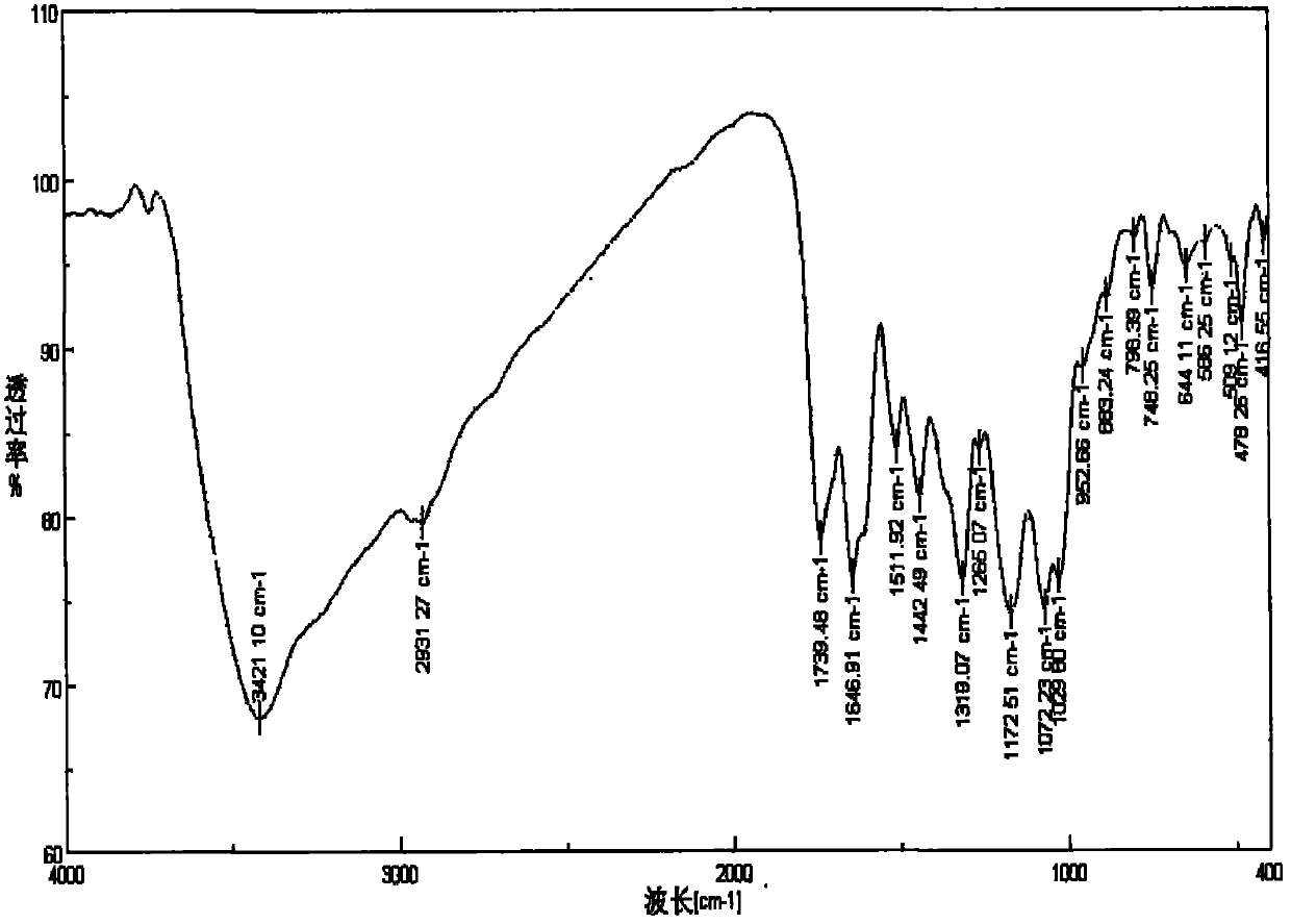 Chitosan quaternary amine salt gallate, synthetic method thereof and application thereof