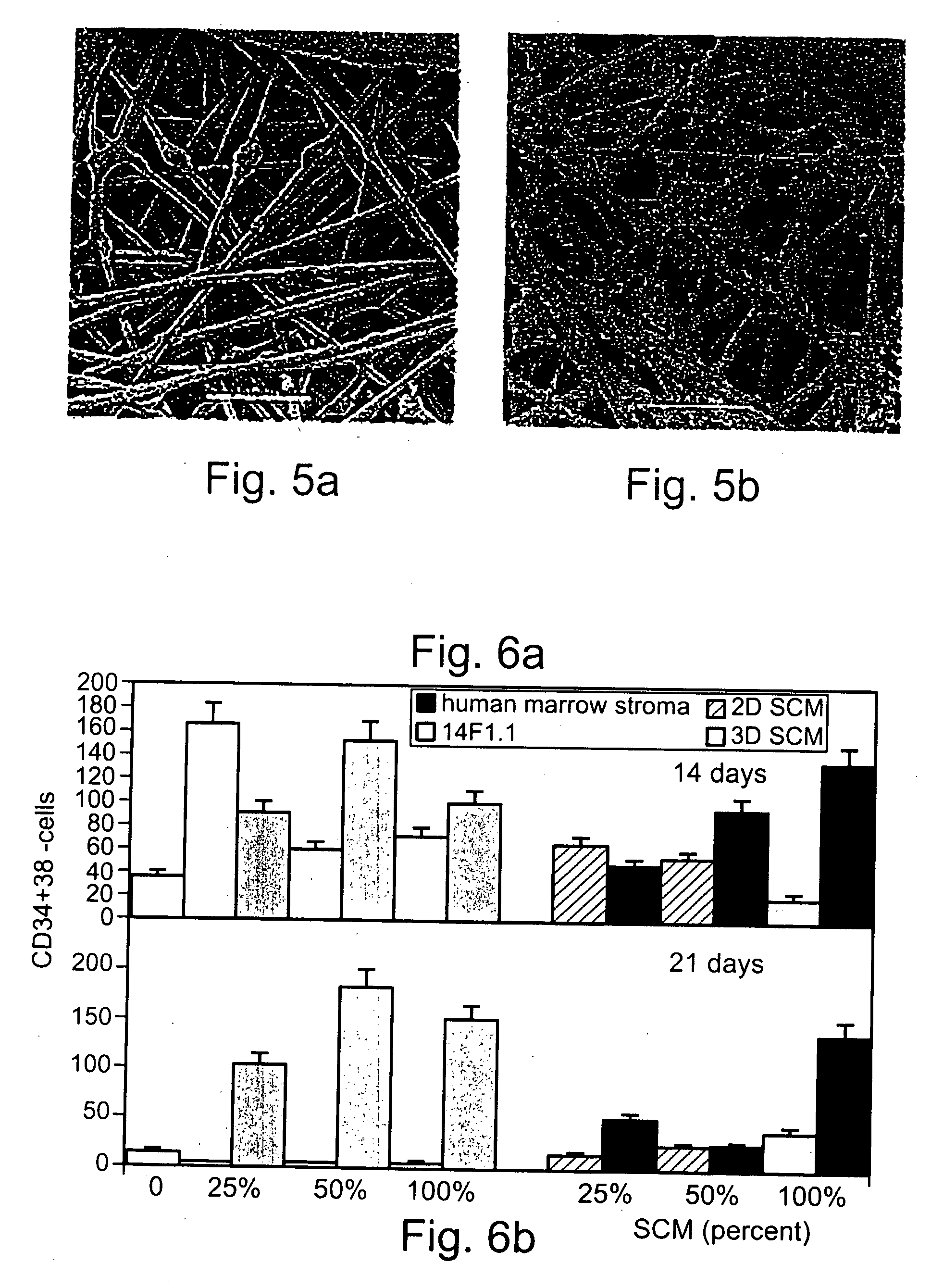 Method and apparatus for maintenance and expansion of hemopoietic stem cells and/or progenitor cells