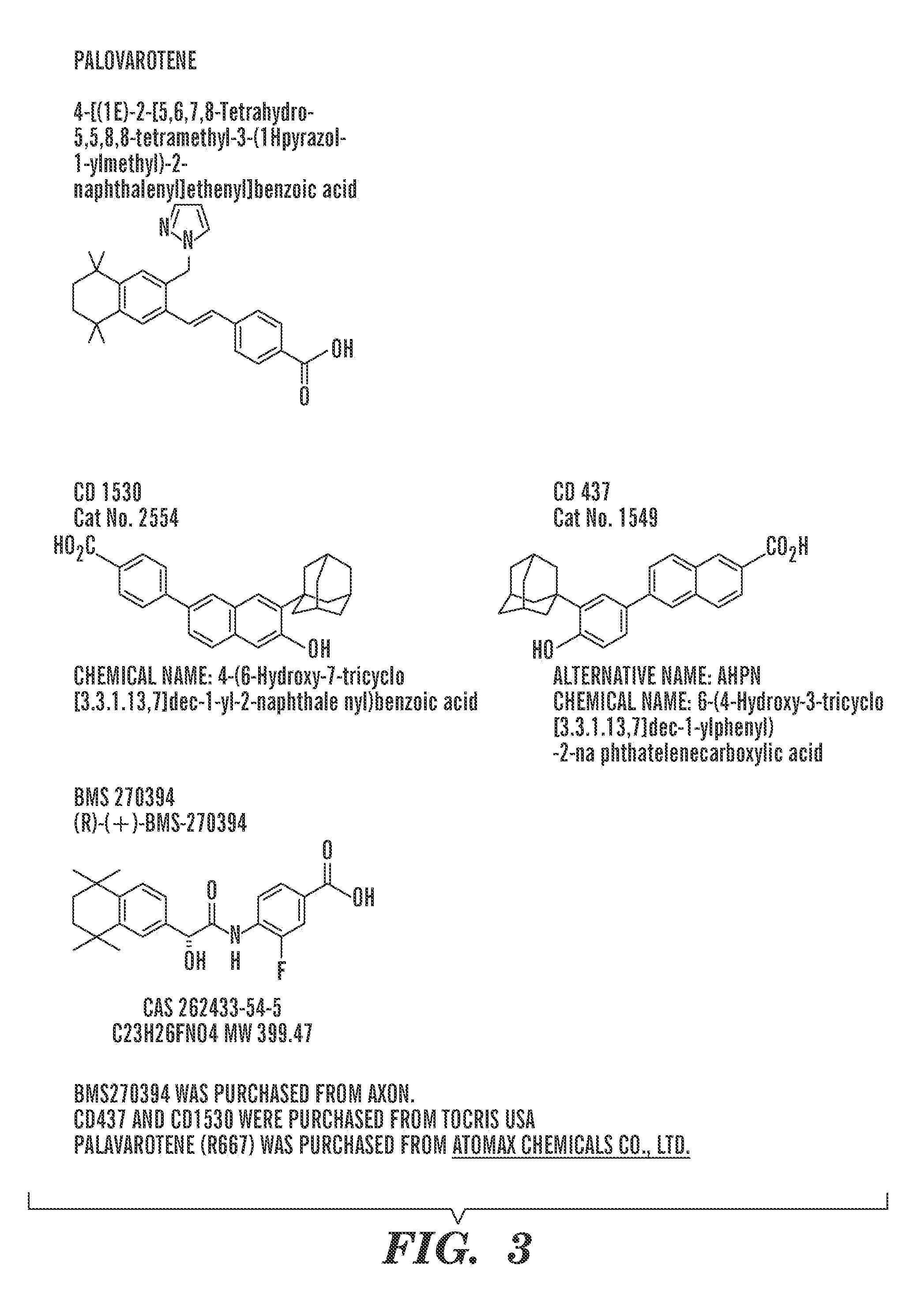 Composition and method for muscle repair and regeneration