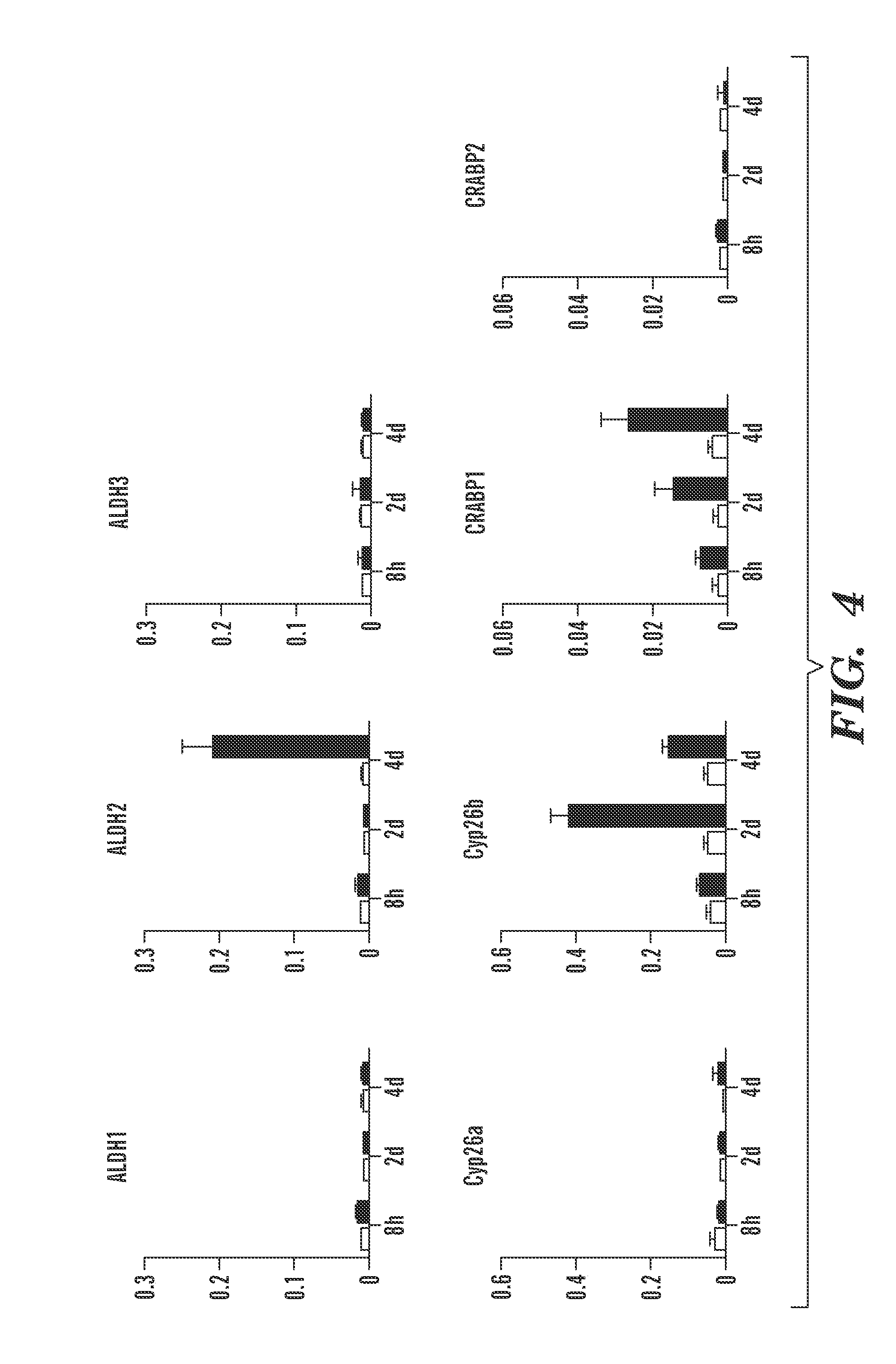 Composition and method for muscle repair and regeneration