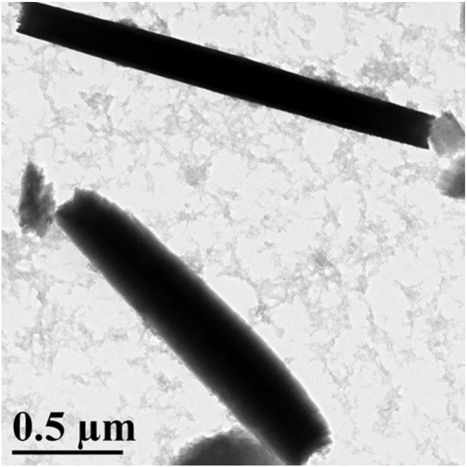 Synthesis of amphipathic block antibacterial peptide as well as preparation method and application of assembly of amphipathic block antibacterial peptide