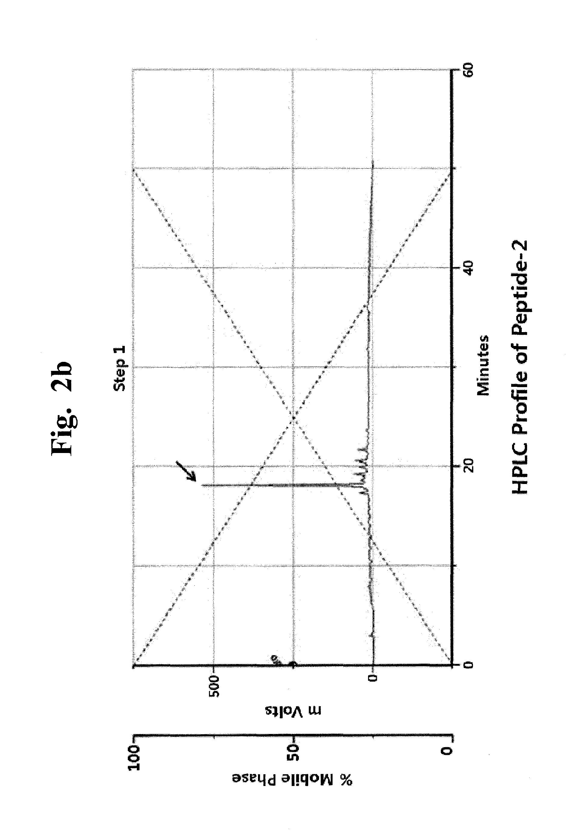 Growth factor-mimicking peptides and uses thereof