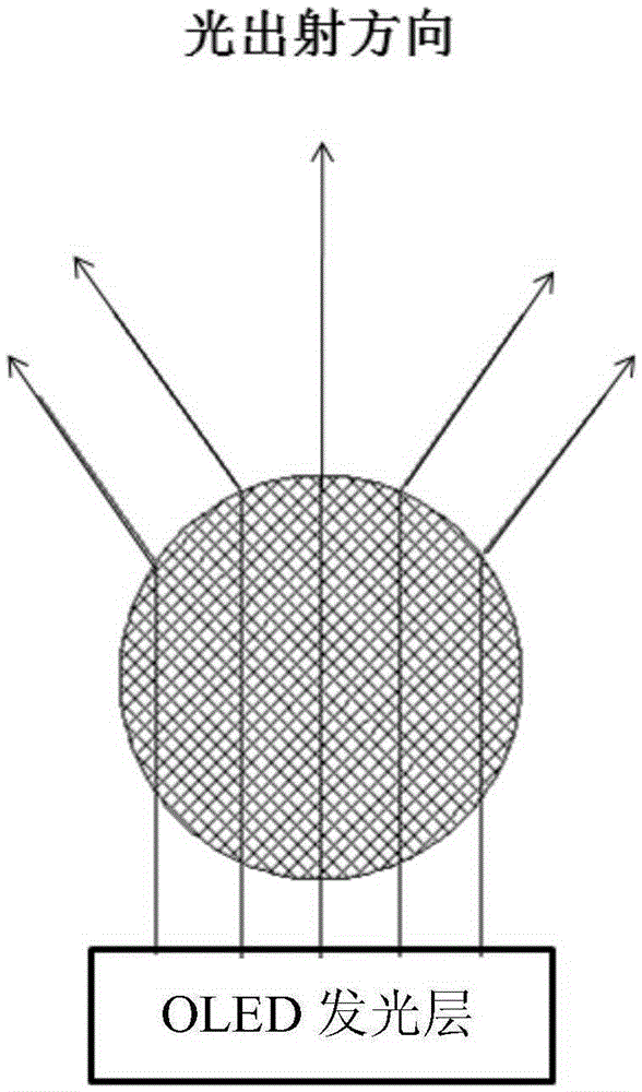 A kind of oled display device and preparation method thereof