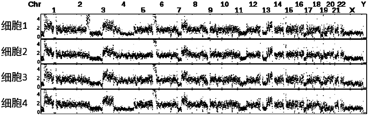 Method for detecting copy number variation of tumor single-cell genomes