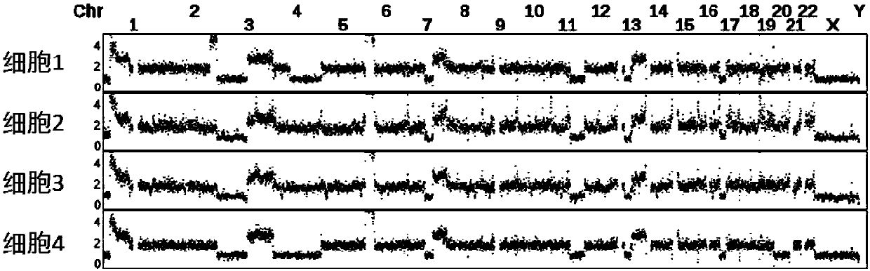 Method for detecting copy number variation of tumor single-cell genomes