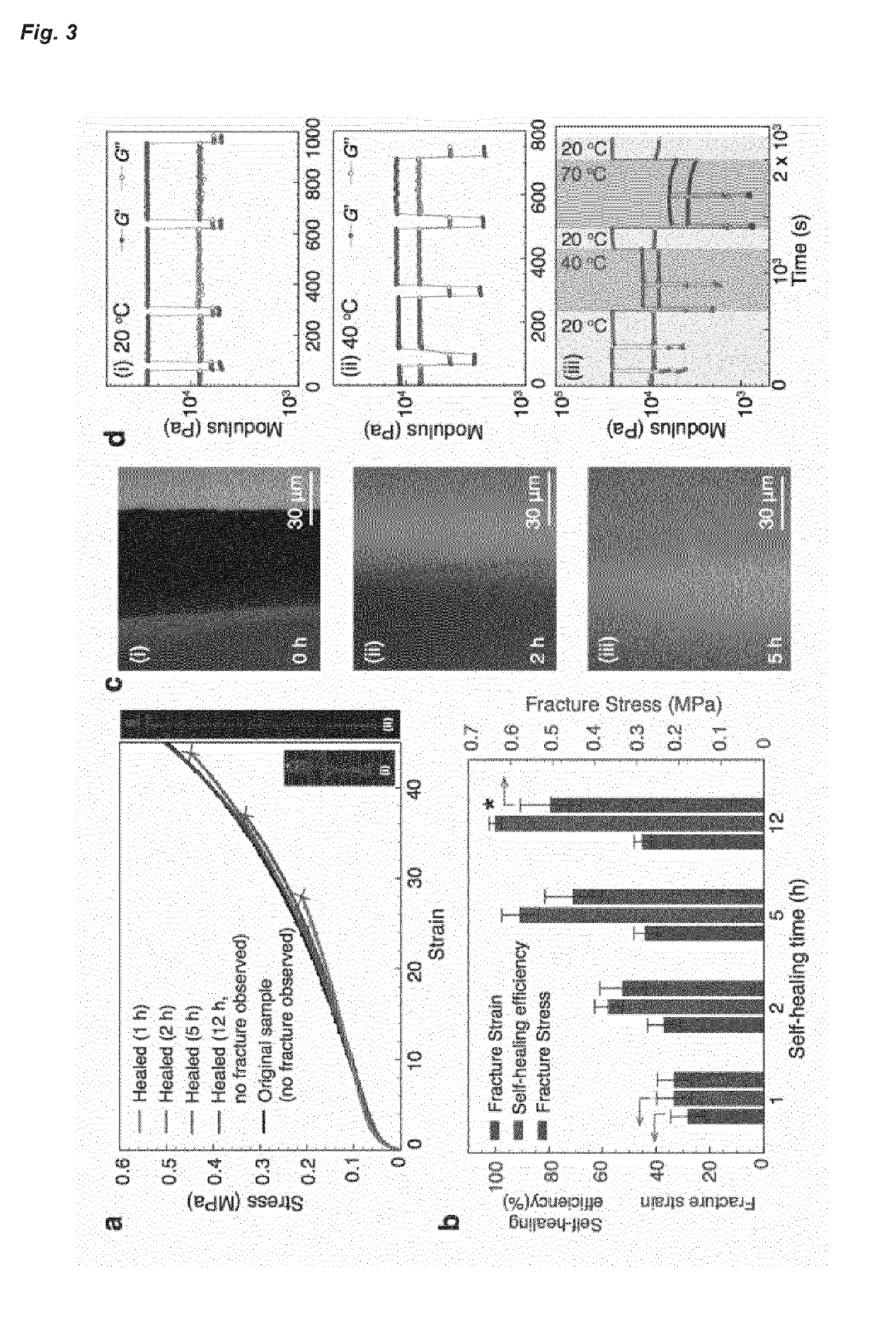 Cucurbituril-based hydrogels