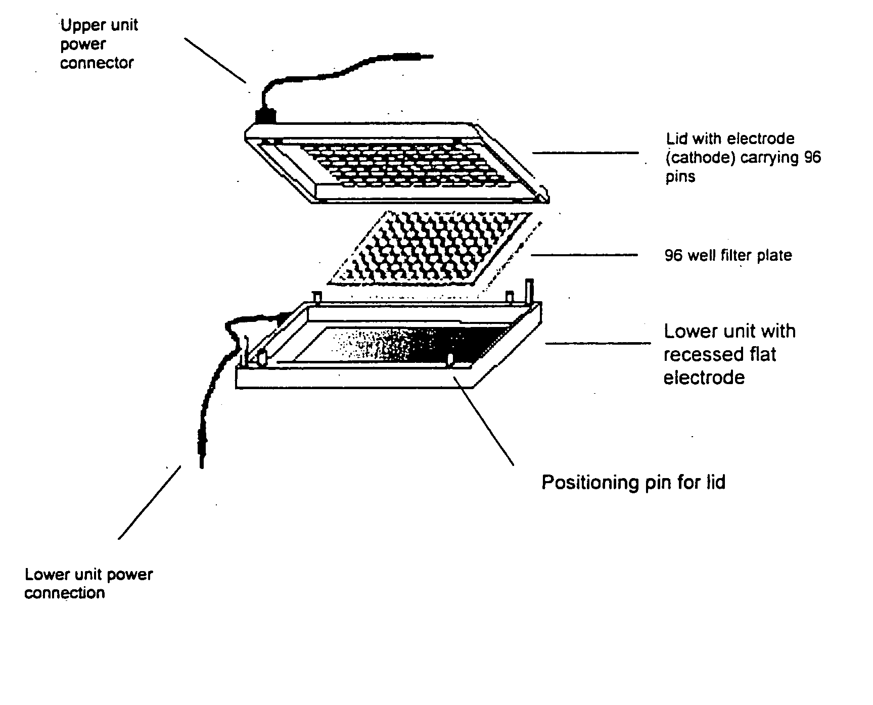 Electrophoretically enhanced methods