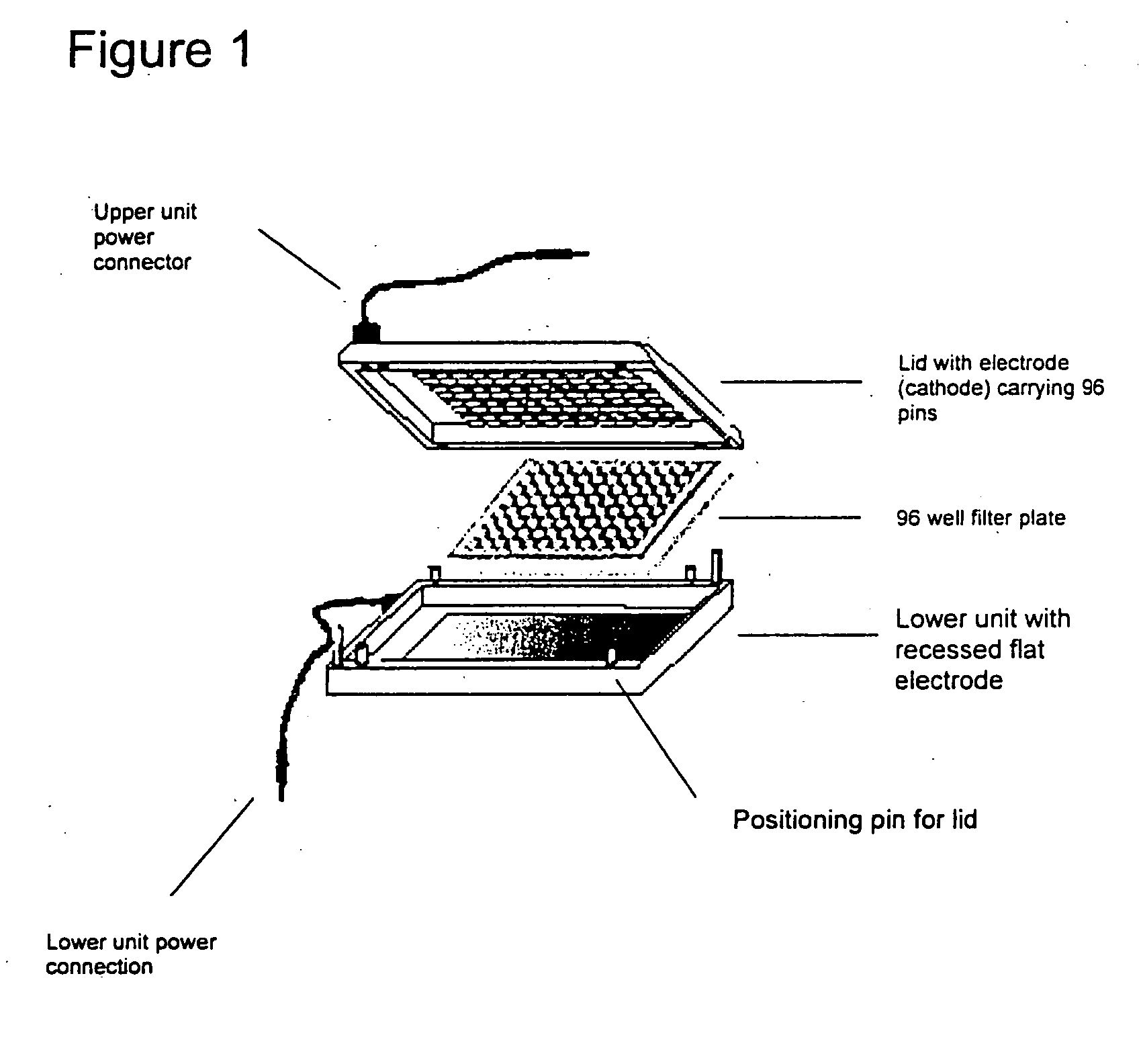 Electrophoretically enhanced methods