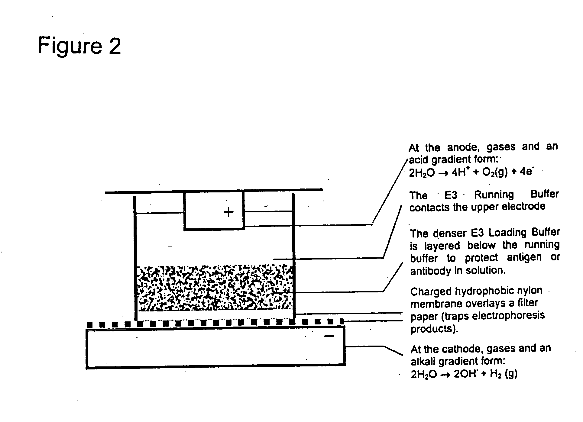 Electrophoretically enhanced methods