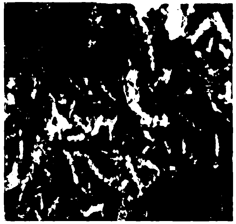 Halloysite nanotube-loaded surfactant/conductive polypyrrole composite antistatic agent, and preparation method and application thereof