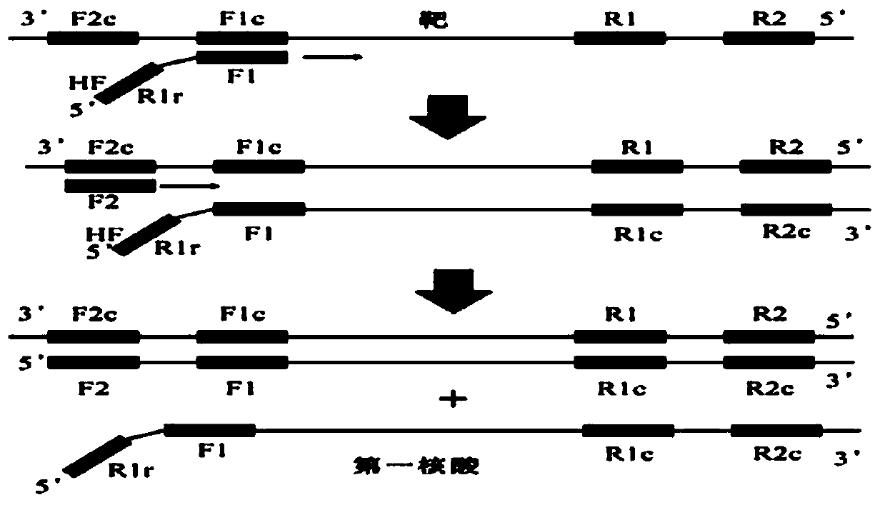 A method for synthesizing nucleic acid under constant temperature conditions