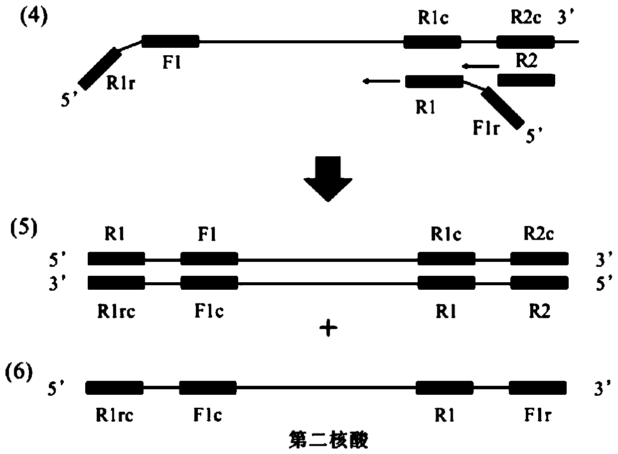 A method for synthesizing nucleic acid under constant temperature conditions