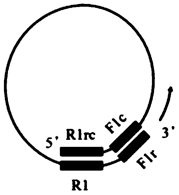 A method for synthesizing nucleic acid under constant temperature conditions