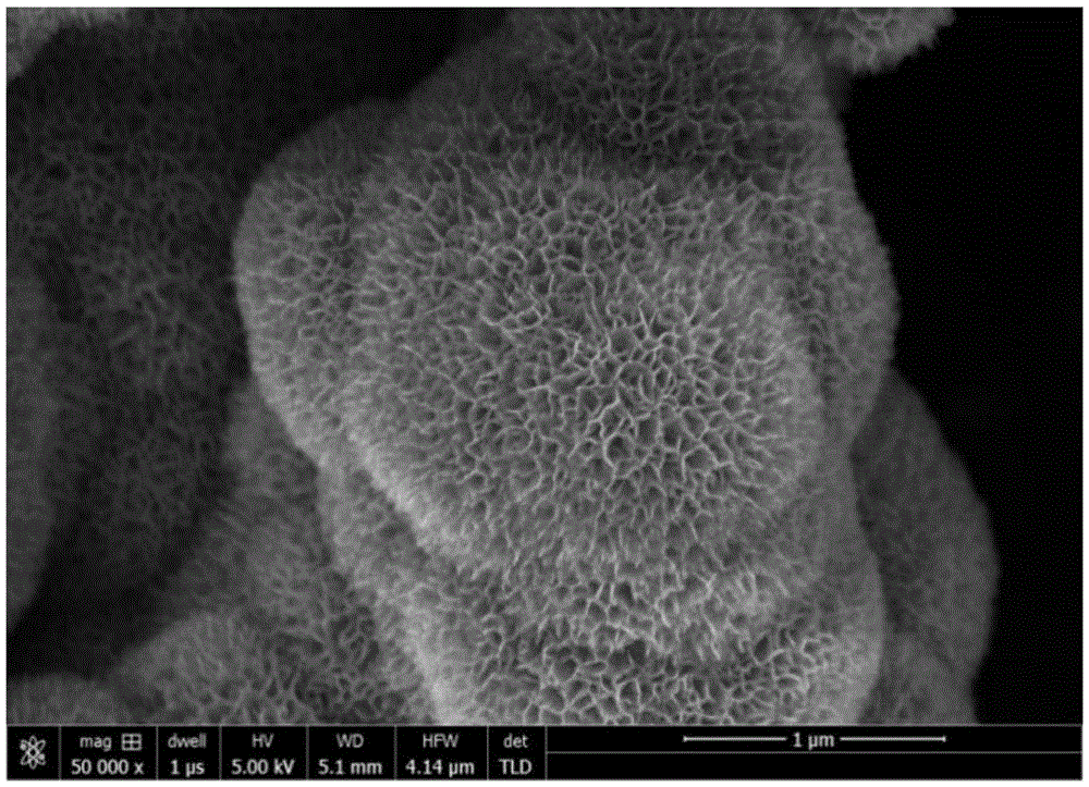 Synthetic method of colorful TiO2 microsphere and application of colorful TiO2 microsphere