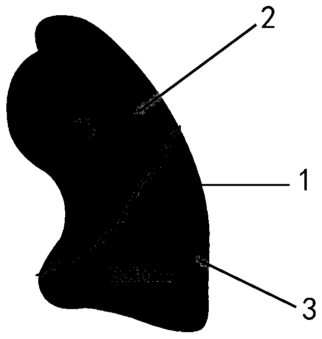 Method for interactively segmenting lung lobes