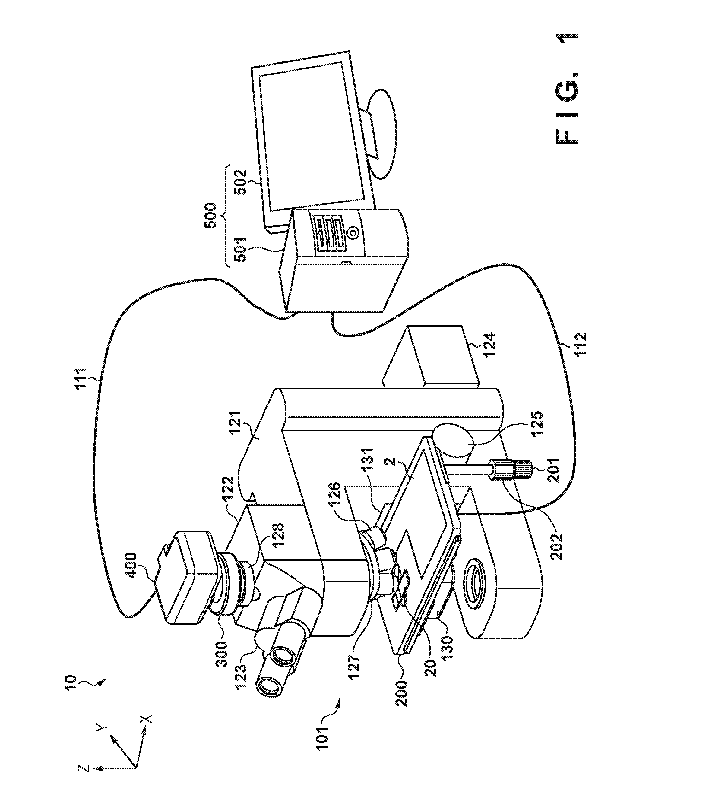 Stage apparatus and microscope