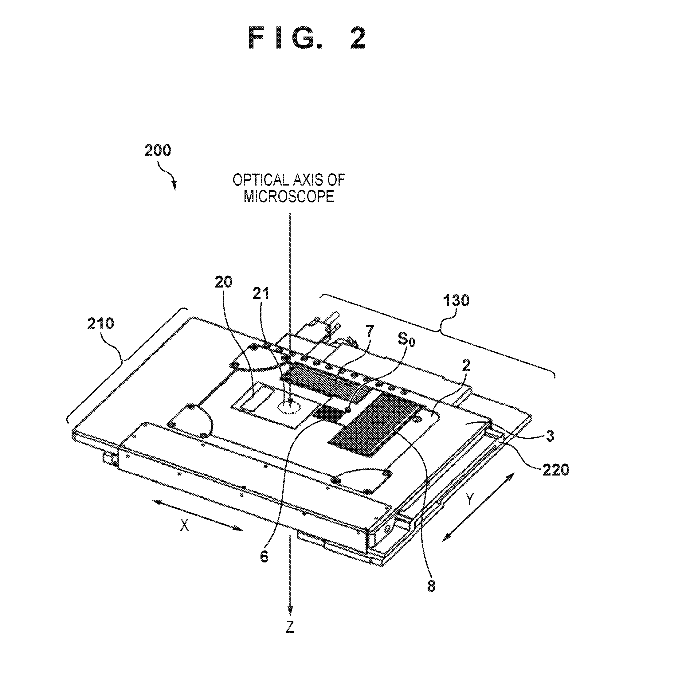 Stage apparatus and microscope