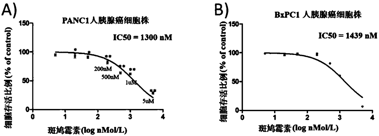 Anti-pancreatic cancer application of polycyclic fused macrocyclic lactam compounds