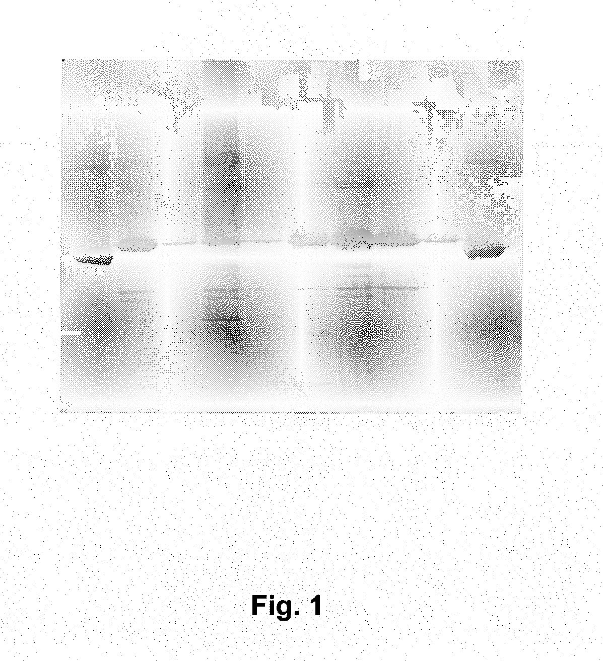 Method for purifying albumin