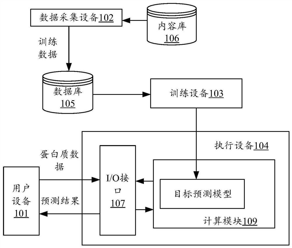 Method and device for model training, protein feature extraction and function prediction