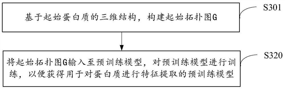 Method and device for model training, protein feature extraction and function prediction