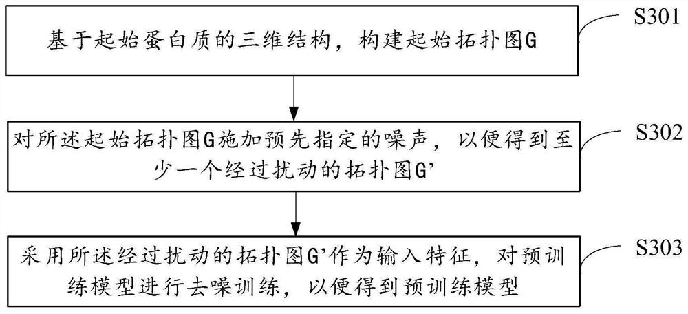 Method and device for model training, protein feature extraction and function prediction