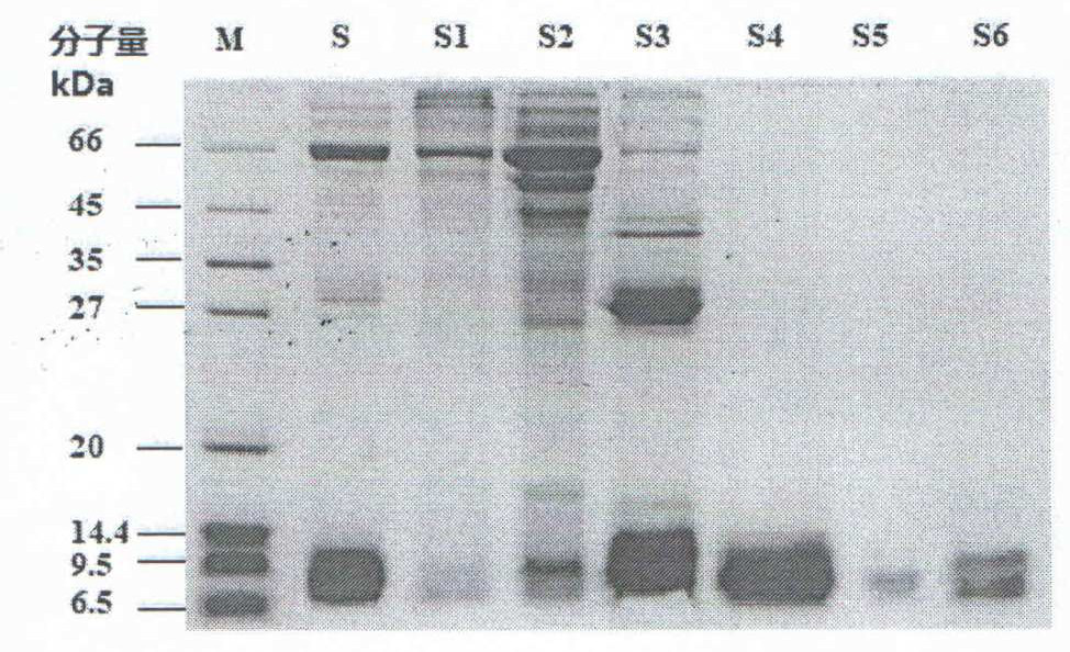 Preparation method and application of histidine scorpion toxin polypeptide component