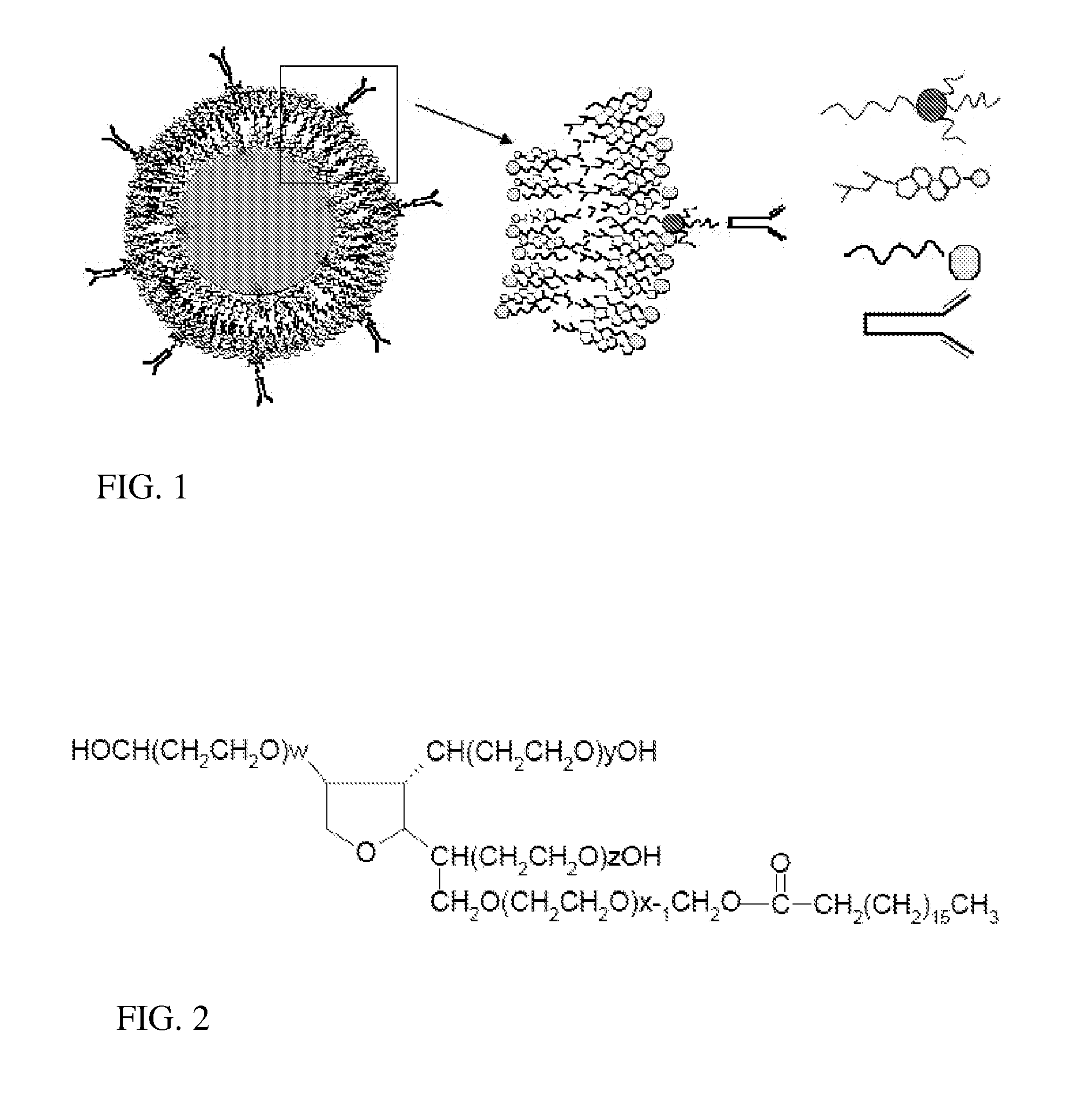 Immunotargeting of Nonionic Surfactant Vesicles