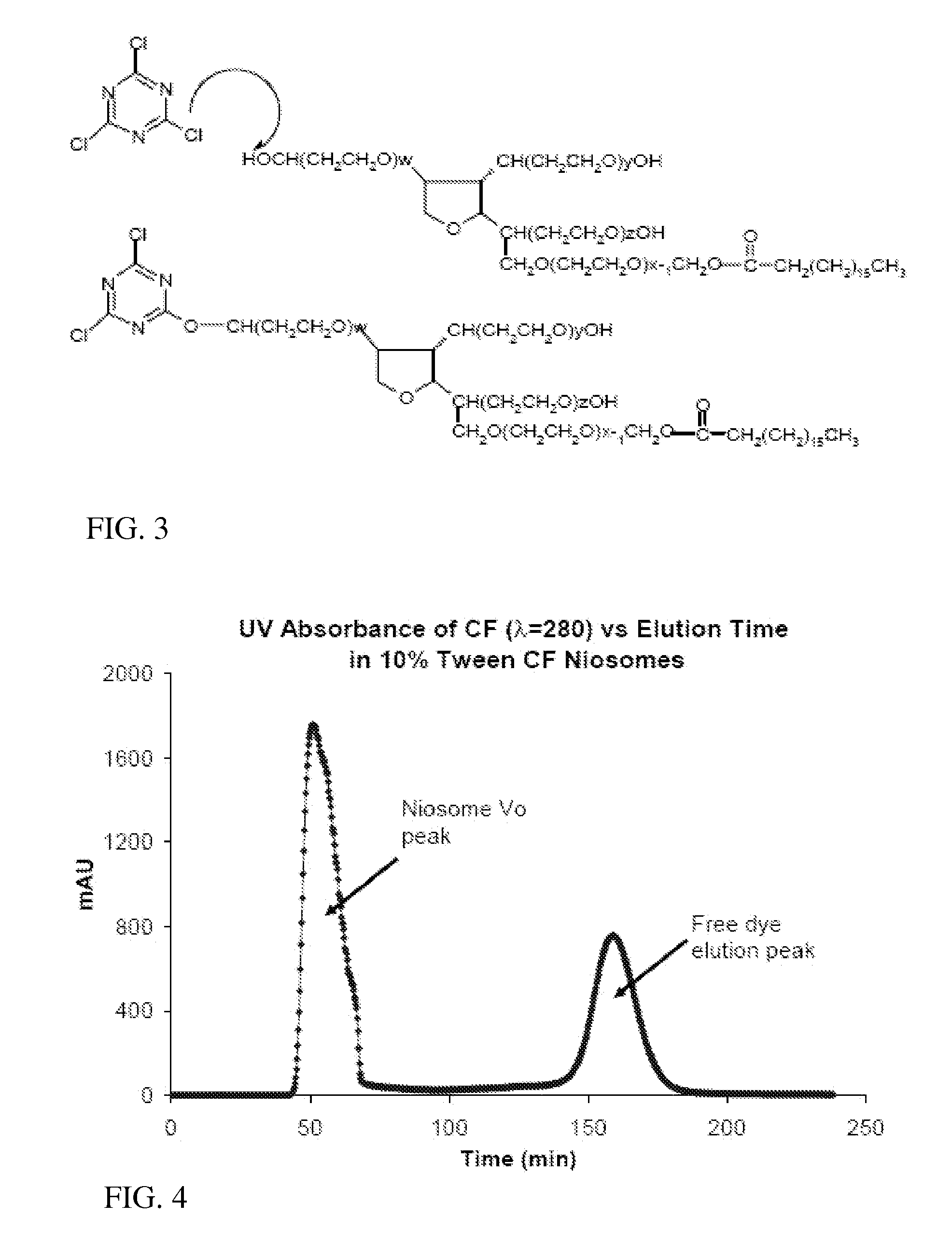 Immunotargeting of Nonionic Surfactant Vesicles