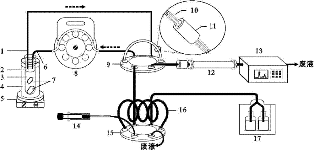 On-line coupling system for dynamic liquid-liquid solid imprinted microextraction-liquid phase chromatogram and application thereof